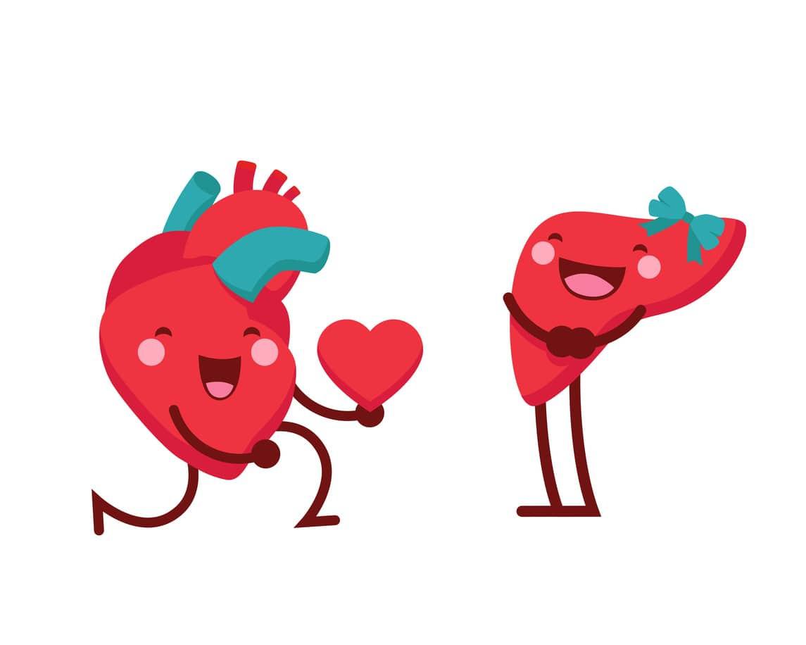 Fatty Liver Heart