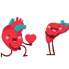 Fatty Liver Heart