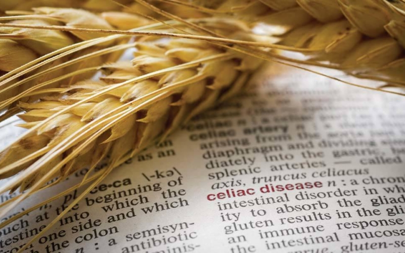 Dictionary celiac definition wheat on book